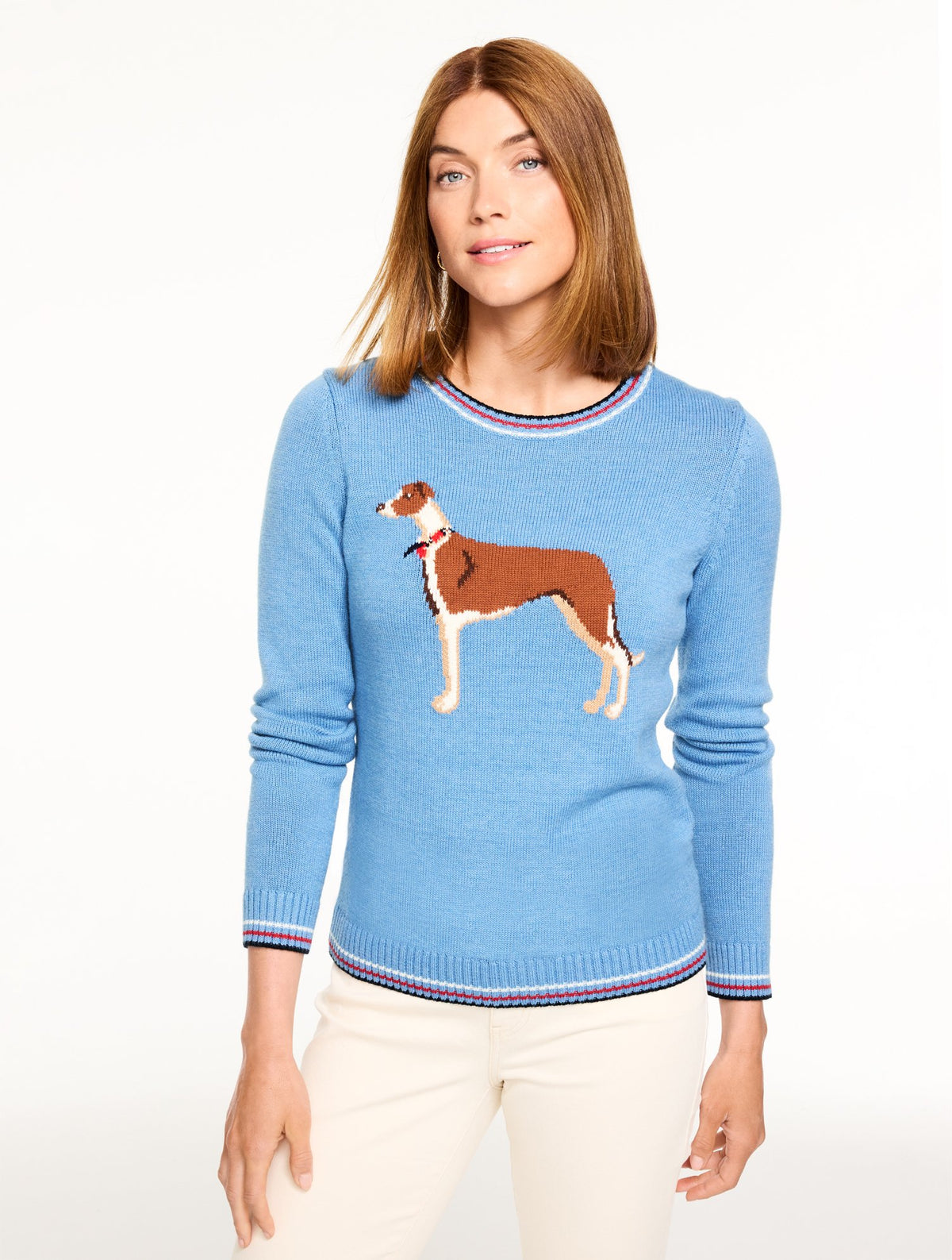Crewneck Sweater - Whimsy Dog